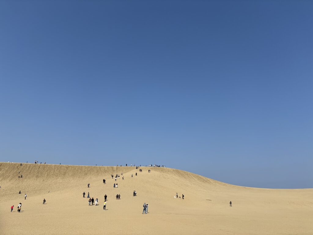 32409443 m-Japan travel