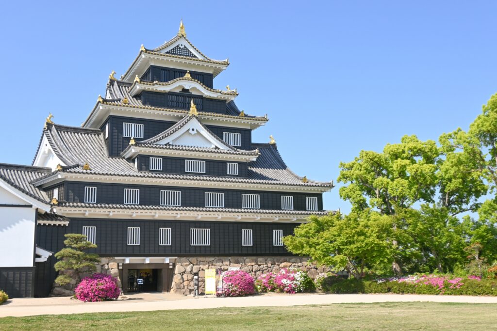 32601392 m-Japan travel